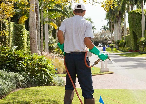 About Walnut IA Pest Control